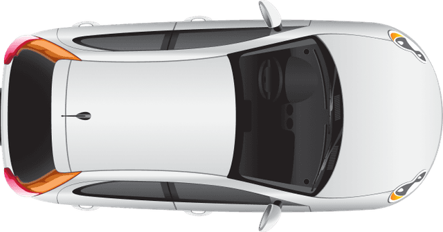 Vehicle damage diagram